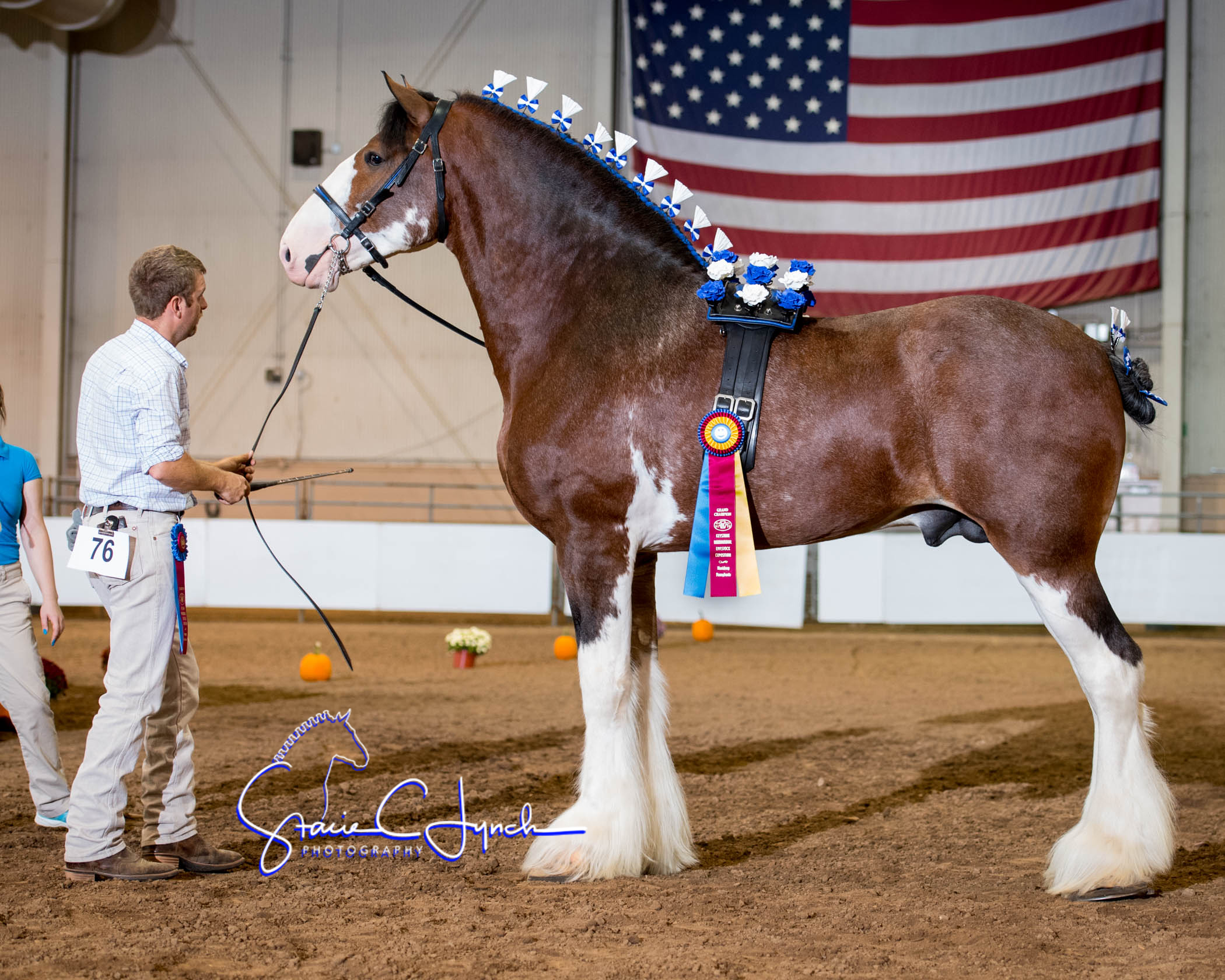 Clydesdale